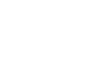VH1 Queens of Reality
