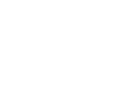Man with a Plan
