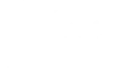 Relic Hunter