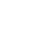 The Wild Wild West