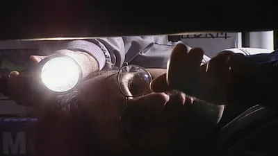 The New Detectives