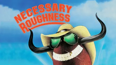 Necessary Roughness