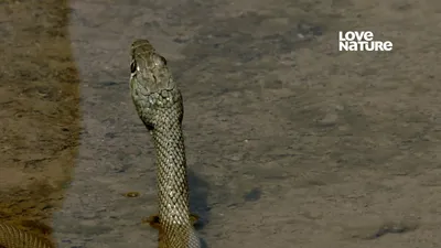 Arábia ao Extremo