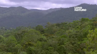 A Incrível Madagascar
