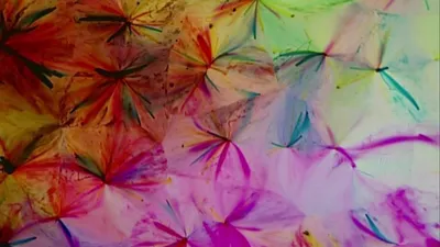 Doces Sonhos