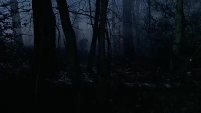 Los asesinatos de Midsomer