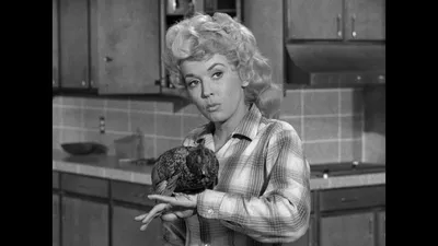 The Beverly Hillbillies