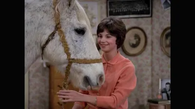 Laverne & Shirley