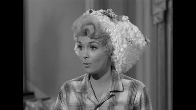The Beverly Hillbillies
