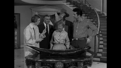 The Beverly Hillbillies