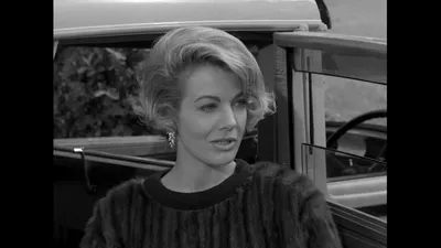 The Beverly Hillbillies