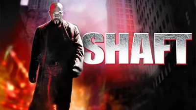 Shaft