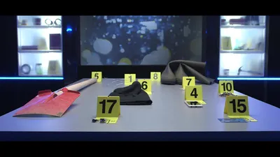Evidencias del Crimen