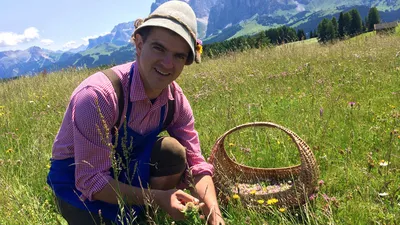 Kräuterwelten