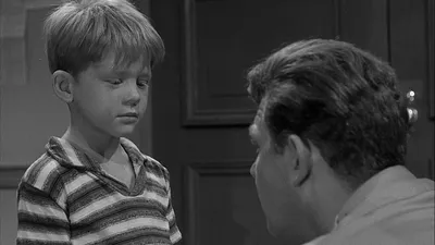 The Andy Griffith Show