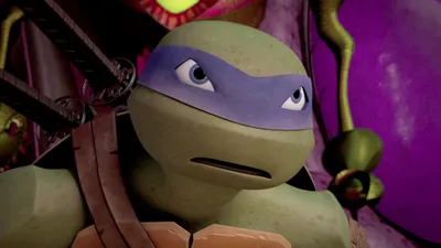 Teenage Mutant Ninja Turtles