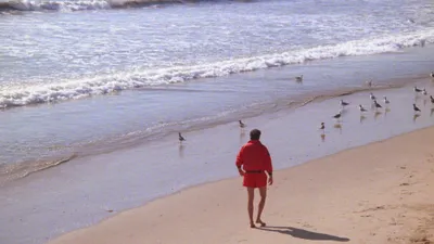 Alerte à Malibu