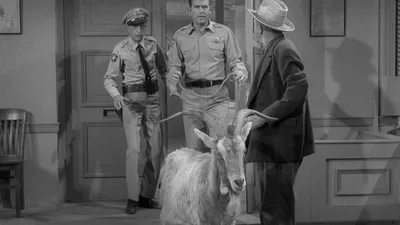 The Andy Griffith Show