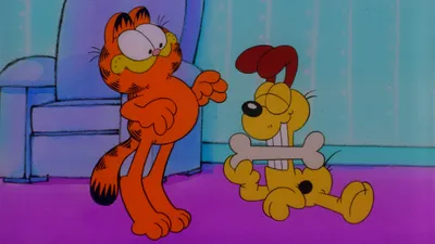 Garfield and Friends