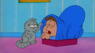 Garfield and Friends