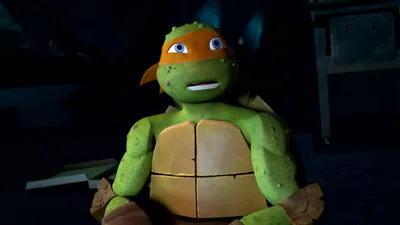 Teenage Mutant Ninja Turtles
