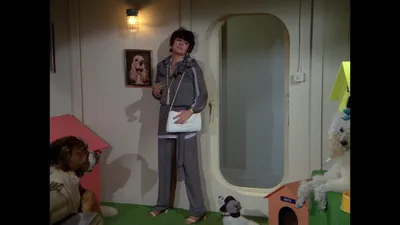 The Love Boat