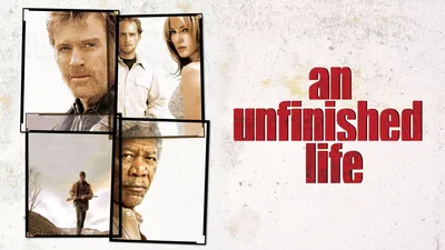 An Unfinished Life