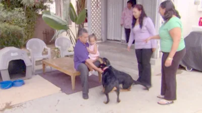 O Encantador de Cães