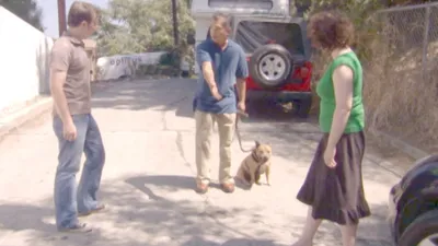 O Encantador de Cães