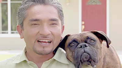 O Encantador de Cães