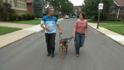 El Encantador de Perros