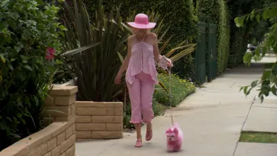 El Encantador de Perros
