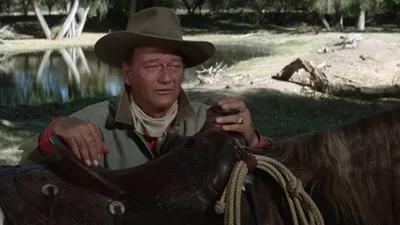 ¡El Gran McLintock!