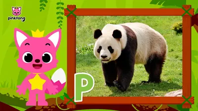 Learn ABC with Pinkfong