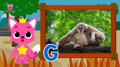 Learn ABC with Pinkfong