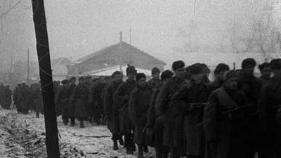 World War II: Total War