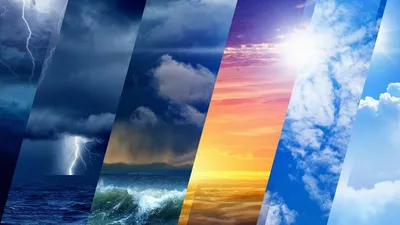 Top Weather News, Regional Forecasts, Live Severe Coverage, and local Washington D. C weather