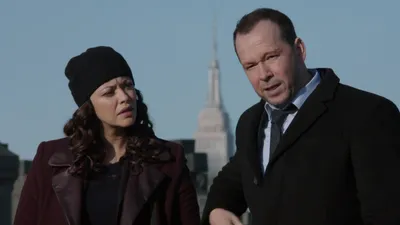 Blue Bloods