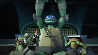 Teenage Mutant Ninja Turtles