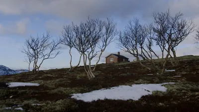 Stugfixarna Norge