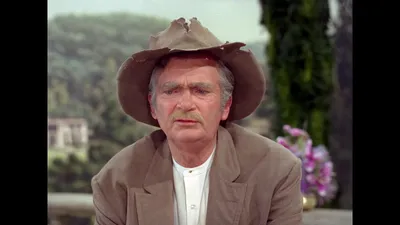 The Beverly Hillbillies