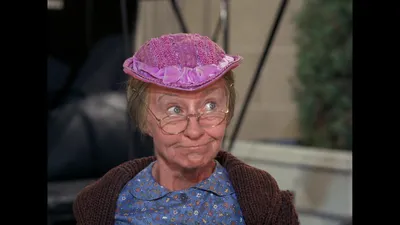 The Beverly Hillbillies