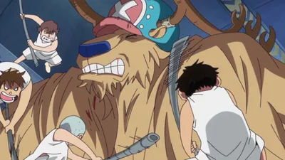 One Piece