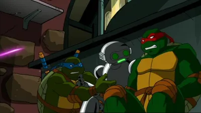 Teenage Mutant Ninja Turtles
