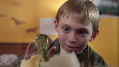 Jurassic School