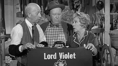Petticoat Junction