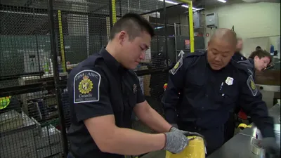 Border Security CA