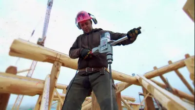 Timber Kings