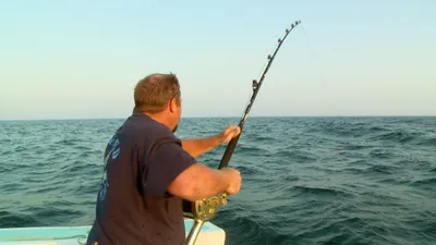 Wicked Tuna