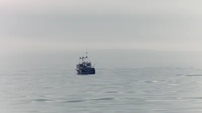 Wicked Tuna